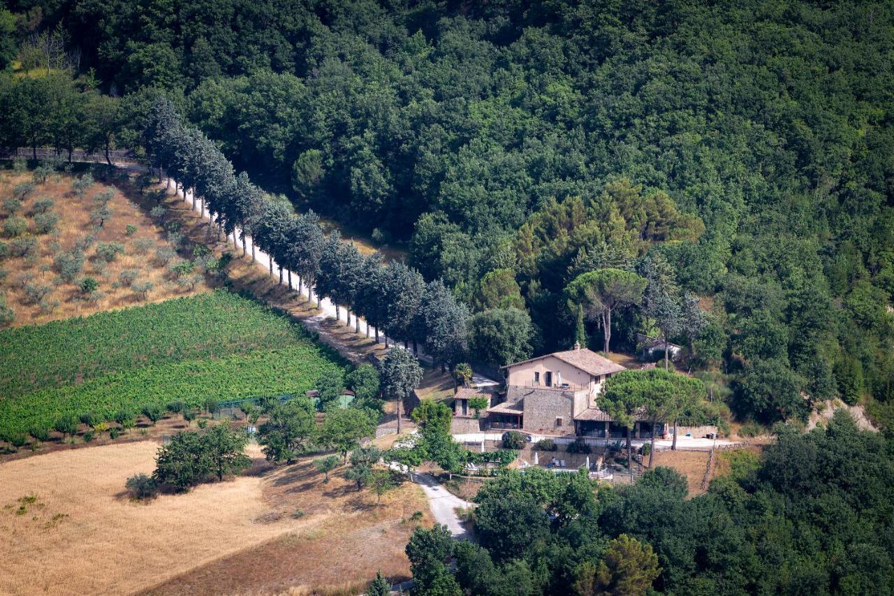 Agriturismo Colle Pu Pieve San Nicolo Εξωτερικό φωτογραφία