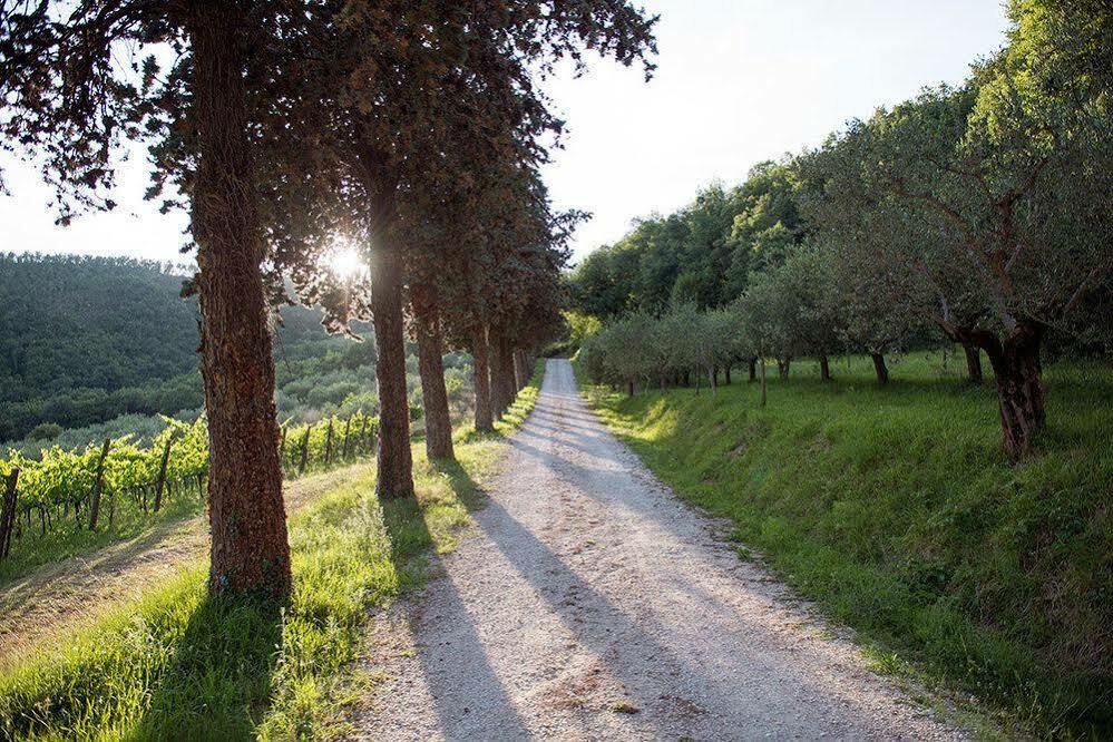 Agriturismo Colle Pu Pieve San Nicolo Εξωτερικό φωτογραφία